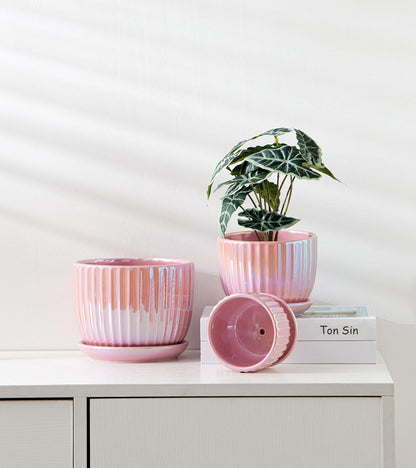 Ton Sin Pink Gold Ceramic Flower Pots, 4"+5"+6" Inch Small Glazed Succulent Planters with Drainage Hole,Modern Indoor Decorative Plant Pots Set of 3,Garden Pots with Saucer