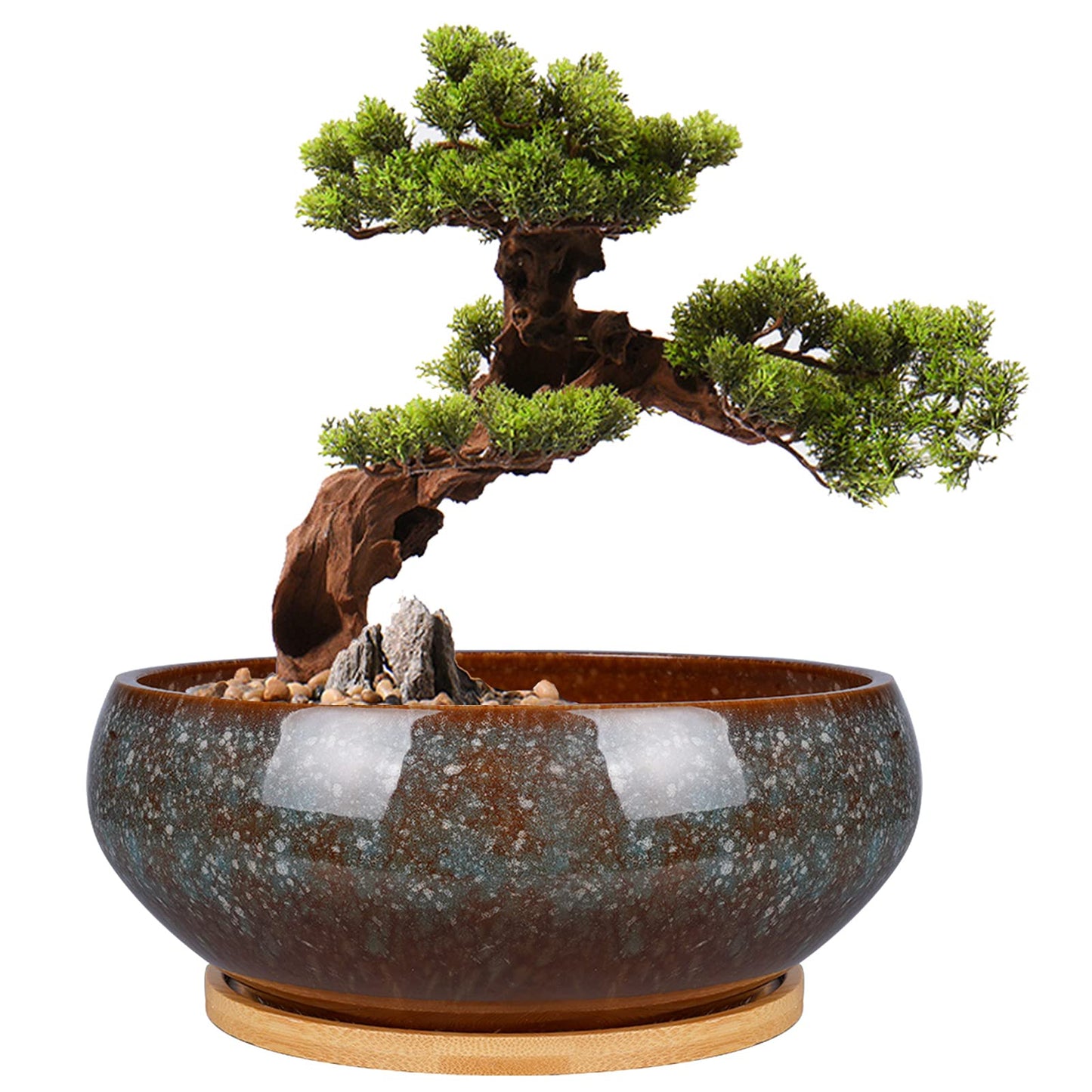 EPFamily 8 Inch Ceramic Bonsai Planter Pot, Glazed Shallow Succulent Planter with Drainage Hole and Bamboo Saucer for Indoor Plants, Green