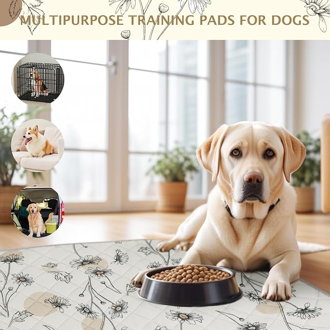 IEUUMLER Washable Pee Pads for Dogs, 2 Pack Non-Slip & Waterproof Pack Whelping Pad, Reusable Washable Puppy Potty Training Pad with Fast Absorbent for Playpen EU007 (Beige Daisy, 41"X41"-2pcs)