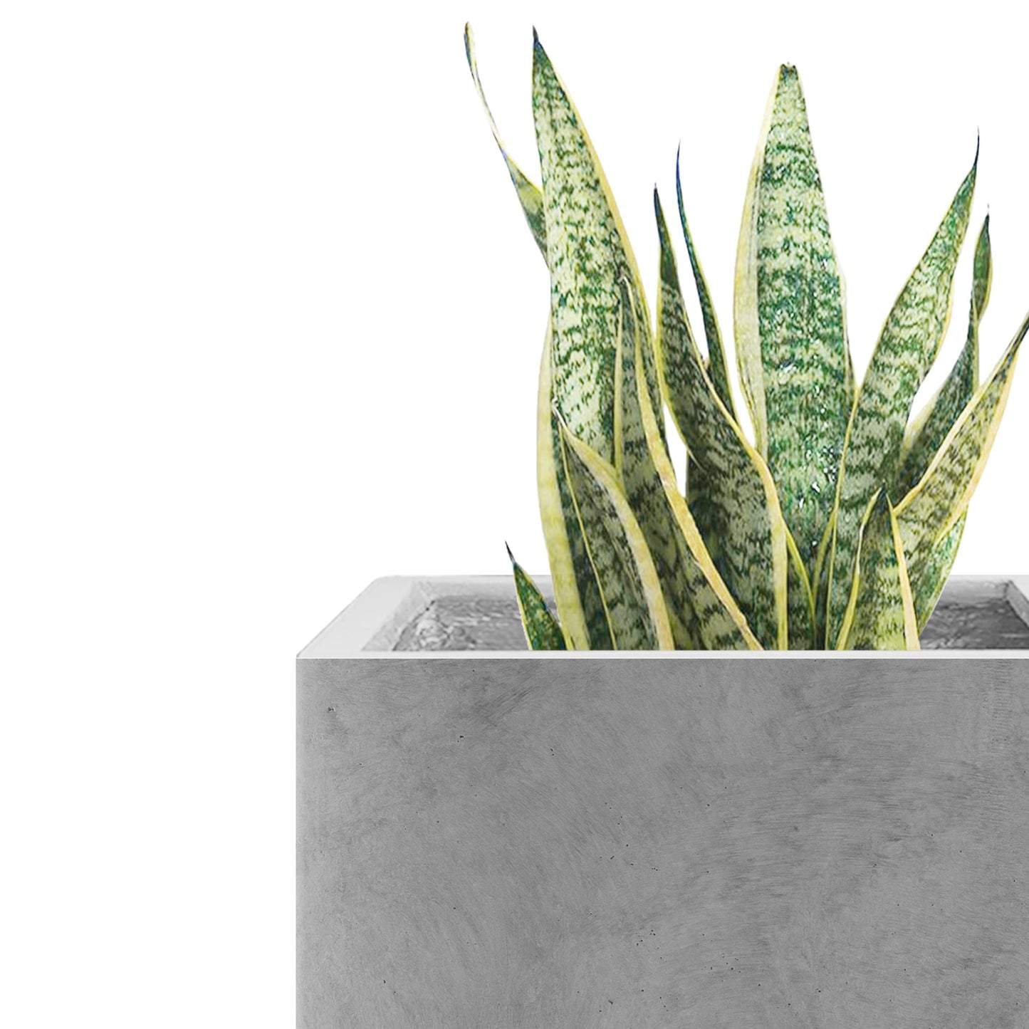 Kante 10 Inch Square Concrete Planter for Outdoor Indoor Home Patio Garden, Large Plant Pot with Drainage Hole and Rubber Plug, Natural Concrete