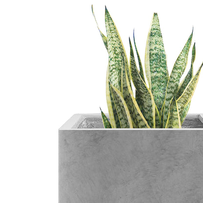 Kante 10 Inch Square Concrete Planter for Outdoor Indoor Home Patio Garden, Large Plant Pot with Drainage Hole and Rubber Plug, Natural Concrete