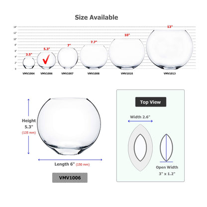 WGV Moon Vase, 6" x 2.5"W, 5.25" H, Clear Glass Floral Container with Oval Opening, Planter Terrarium, Wedding Event Home Decor, 1 Piece (VMV1006)