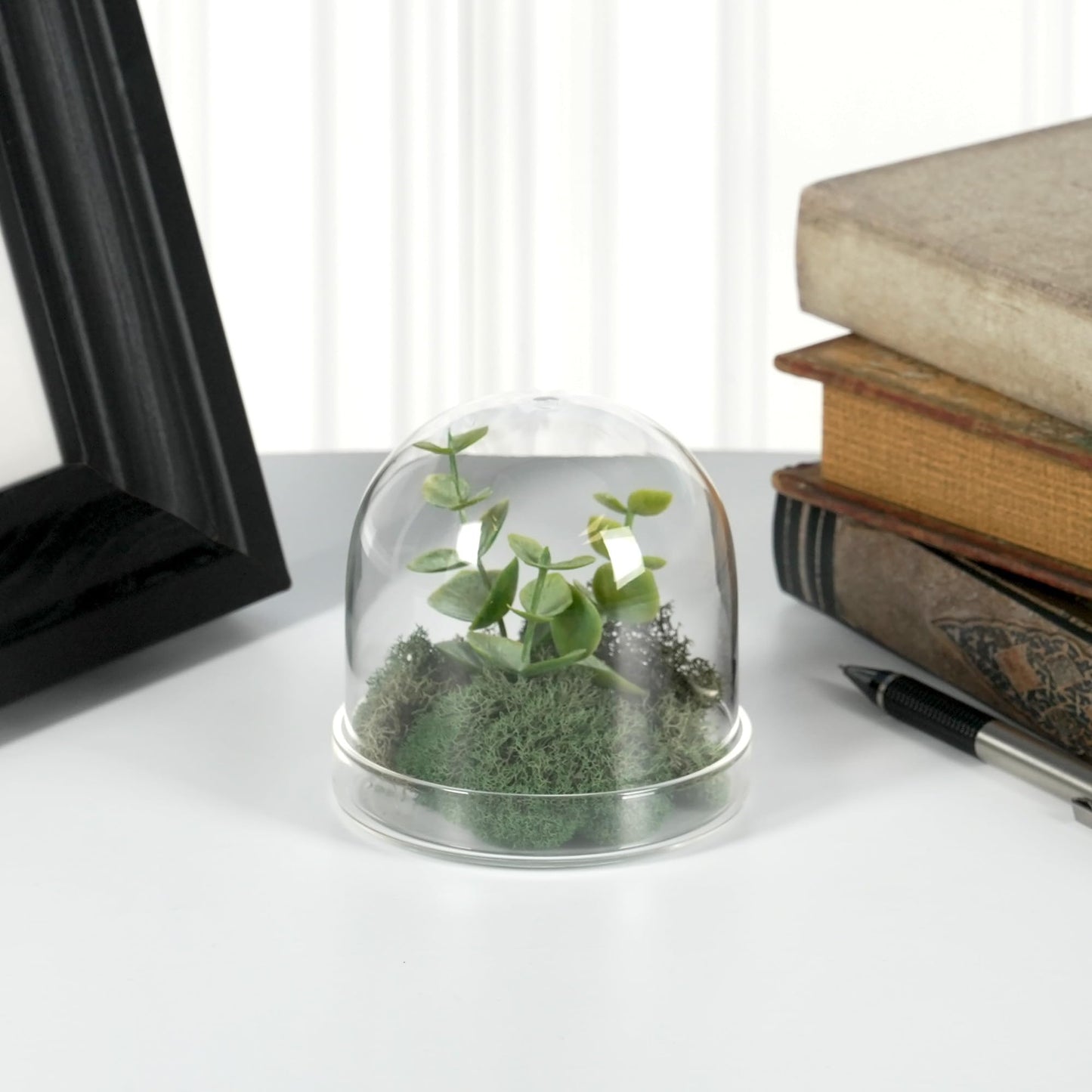 Plymor 3" x 3" Glass Display Dome Cloche (Clear Glass Tray Base)