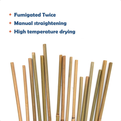 COLOtime Bamboo Stakes 6FT Garden Stakes Plant Stakes for Outdoor Climbing Plants Poles Support Mini Tree Vines Pole Beans Cucumber 20 Pack
