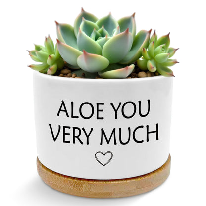 ROXMART Aloe You Very Much Funny Plant Pots, Gardener Gifts for Women Men Succulent Planters, Funny Gardening Gifts Ceramic Plant Flower Pots for Home Office Desk Table Shelf(No Plants)