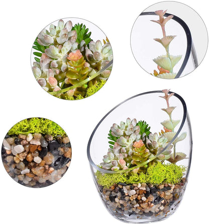 Ecosides 6.9”X5.5 Clear Glass Bowls Slanted Clear Vase Terrarium Jar Round Globe Wide Glass Cut Bubble Bowl Put Candies,Plant,Flowers,Fruit