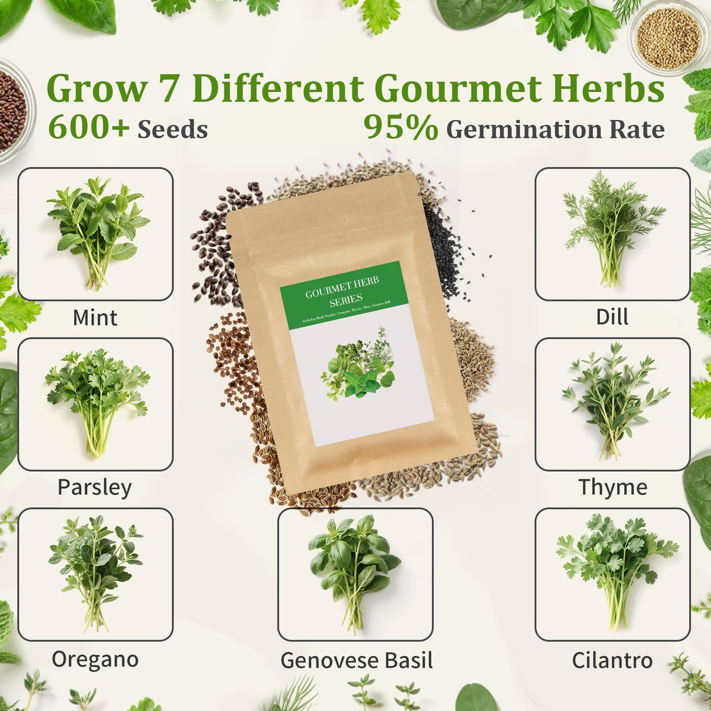 Herb Indoor Window Garden Kit - House Plants Seeds - Best Unique Christmas Gift Ideas for Women, Friend, Birthday, Housewarming, Mother, Beginner DIY Craft & Hobby Gardening Gift for Plant Lovers