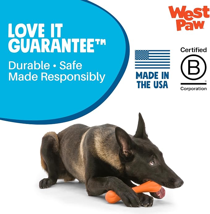 West Paw Zogoflex Hurley Dog Bone Chew Toy – Floatable Pet Toys for Aggressive Chewers, Catch, Fetch – Bright-Colored Bones for Dogs – Recyclable, Dishwasher-Safe, Non-Toxic, X-Small, Aqua