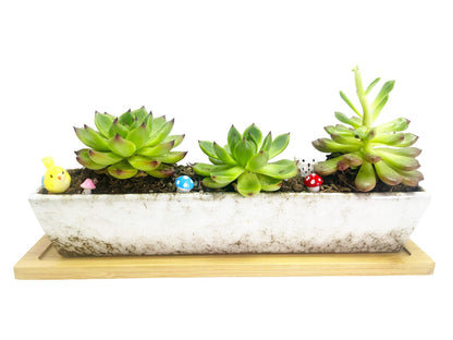 WISH HALLY WOOD 9.8inch White Long Rectangle Ceramic Succulent Planter Pot,one Set of Mini Flower Plant Container with Bamboo Saucers. Product Size:9.8x2.35x1.77 inch,not Include The Plant. (White)
