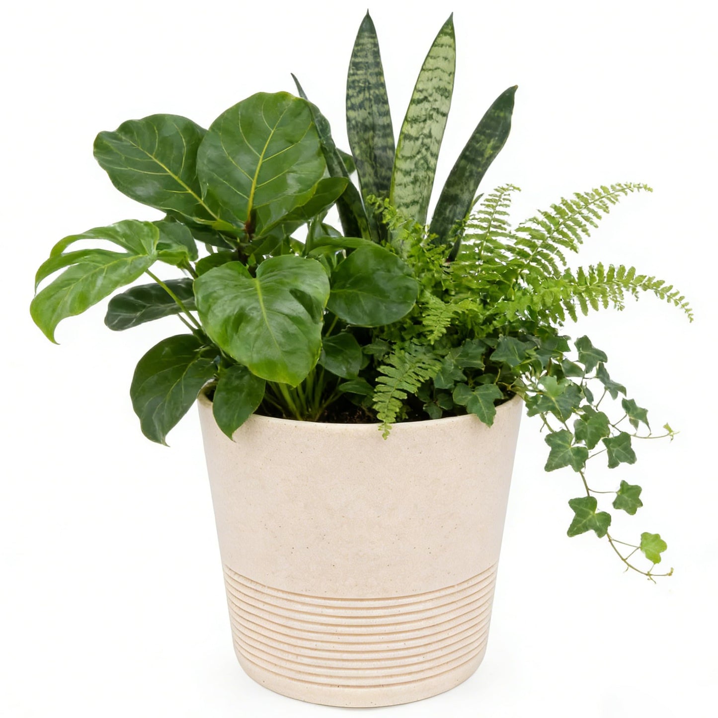 Ekirlin 7 Inch Indoor Plant Pot, Natural Resin Gravel Textures Planters, Modern Heavy Planter with Drainage Hole, Removable Rubber Stopper and Non-Slip Soft Pad, Decorative Pot for Home/Outdoor/Garden