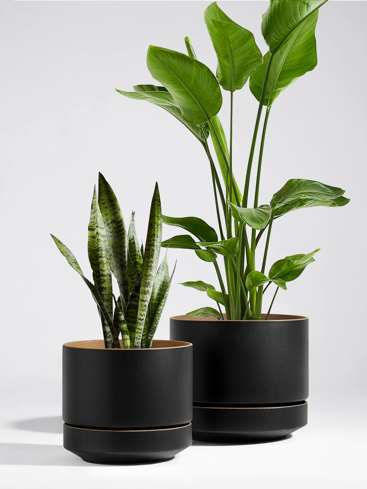 LE TAUCI 12 Inch Pot for Plants with Saucer, Ceramic Indoor Planter Pot with Drainage Hole, Mesh Pad Included, Matte Glazed Outside, Modern for Home and Office, Obsidian Black & Ochre