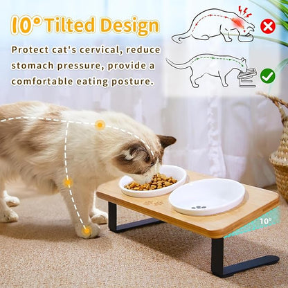 Ceramic Elevated Cat Bowls with 10° Tilted, Anti Vomiting & Whisker Friendly Food and Water Bowls with Bamboo Stand(Anti-Slip Feet), Raised Cat Food Bowls for Indoor Cats & Puppies, Dishwasher Safe