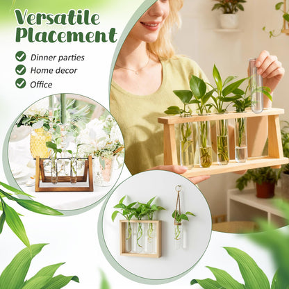 Healifty 5pcs Glass Test Tube Propagation Station for Desk Plant Hydroponics, Small Terrarium Vase Set 2.5x3x11cm, Convenient Hydroponic Plant Propagation Tubes