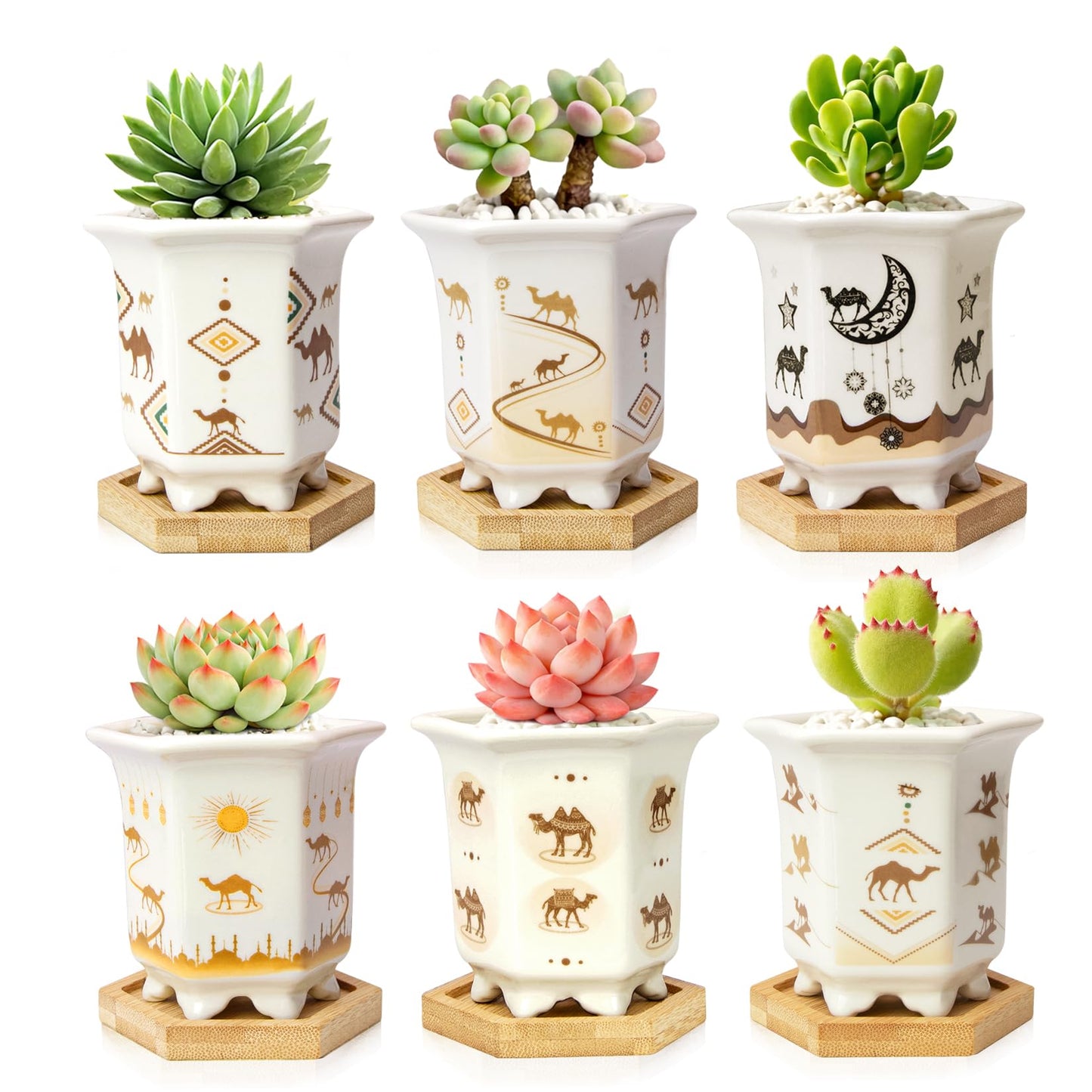 Succulent Pots 6 Pack, Small 3.3 Inch Cactus Pots with Drainage and Bamboo Tray, Ceramic Plant Pots for Succulents, Small Planters for Indoor Plants, Mini Flower Pots