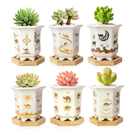 Succulent Pots 6 Pack, Small 3.3 Inch Cactus Pots with Drainage and Bamboo Tray, Ceramic Plant Pots for Succulents, Small Planters for Indoor Plants, Mini Flower Pots