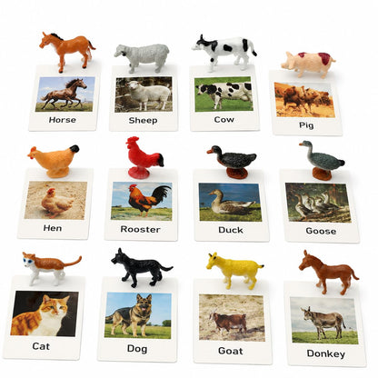 Montessori Farm Animal Matching Game, 12PCS Realistic Farm & Poultry Animal Figurines with Flash Cards, Preschool Educational Learning Toys for Toddlers Kids, Homeschool Language Sensory Toy
