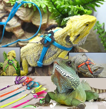 Adjustable Harness Leash for Birds 2Pack Nylon Anti-bite Outdoor Training Walking Control Rope for Parrot African Grey Cockatoo Macaw Ringneck Parakeet Cockatiel Reptile Lizard (Orange+Pink)