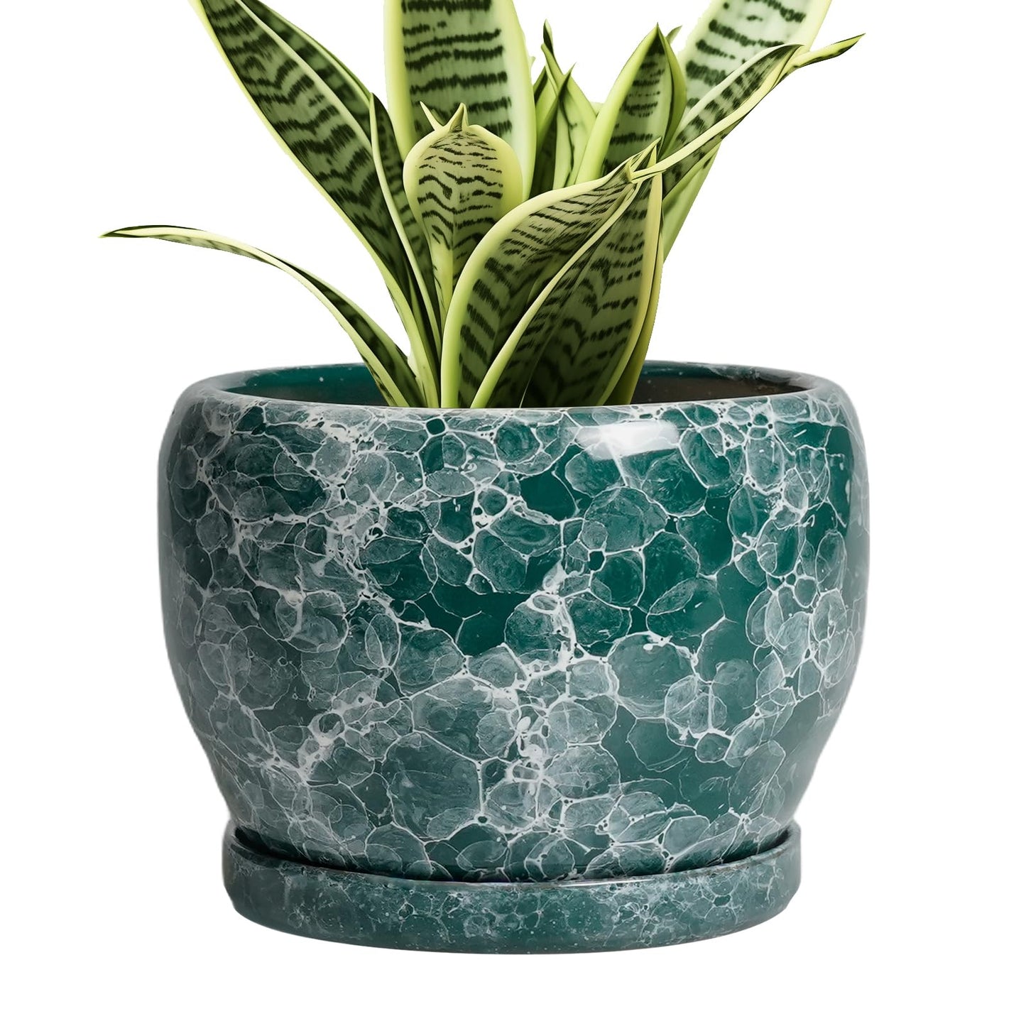 SQOWL Ceramic Pot for Plants - 6 Inch Ceramic Planter with Drainage Hole and Saucer, Round Flower Pot for Indoor Outdoor, Decorative Small Planter, Room Home Decor, Plant Lover Gifts, Green