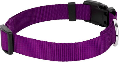 Country Brook Petz - Everyday Nylon Dog Collar and Leash - 10+ Cool Colors (3/8 Inch, Extra Small, Purple)