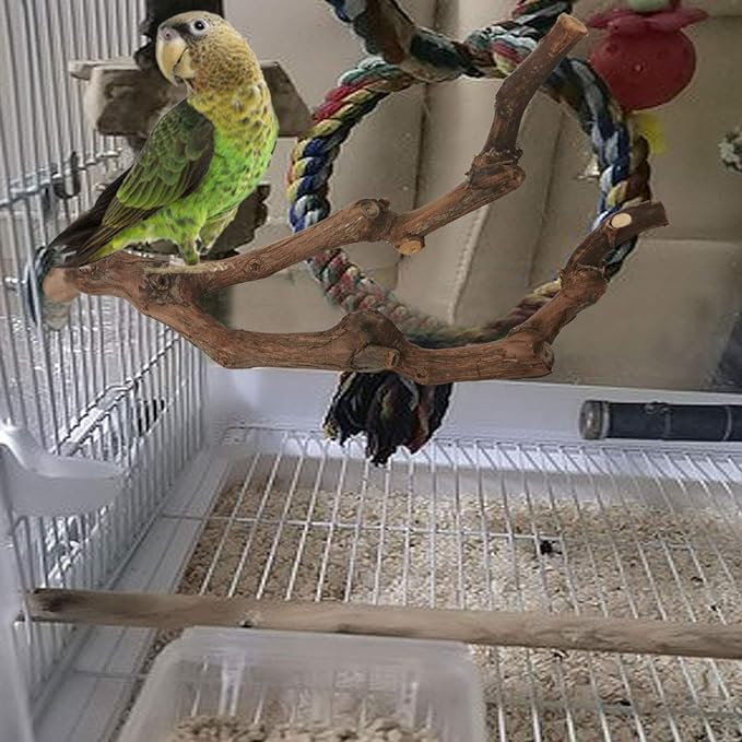 kathson Natural Parrot Perch Bird Stand Pole Wild Grape Stick Paw Grinding Fork Parakeet Climbing Standing Branches Toy Chewable Cage Accessories for Small Budgies Cockatiels Lovebirds 2PCS