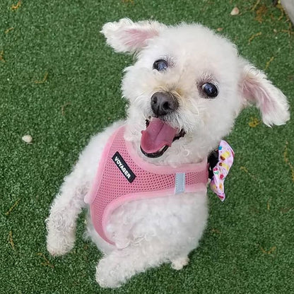 Best Pet Supplies Voyager Step-in Air All Weather Mesh Harness and Reflective Dog 5ft Leash Combo with Neoprene Handle, for Small, Medium and Large Breed Puppies - Pink, Large