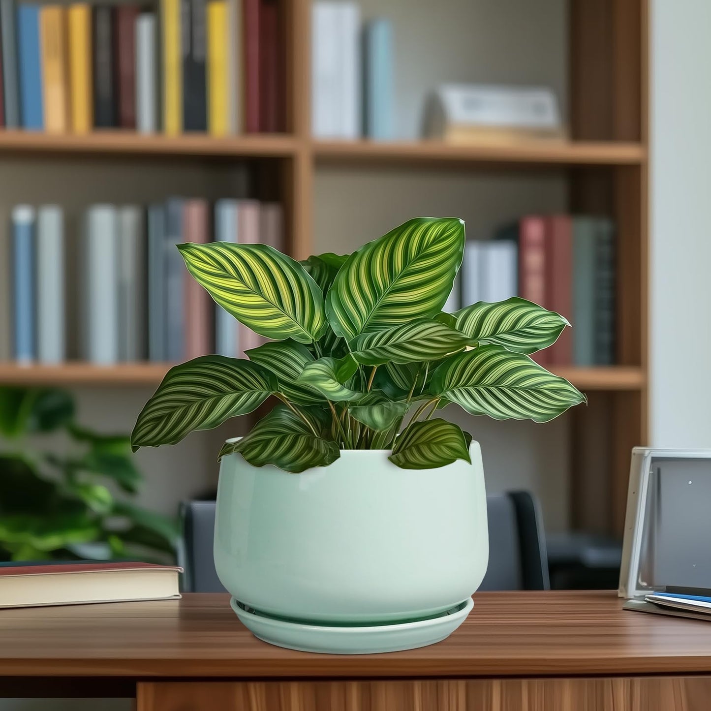 G EPGardening Ceramic Plant Pots - 7 Inch Planter for Indoor Outdoor Plants, Ceramic Planter with Drainage and Saucer, Round Modern Flower Pots, House Decor, Gift for Men Women, Green