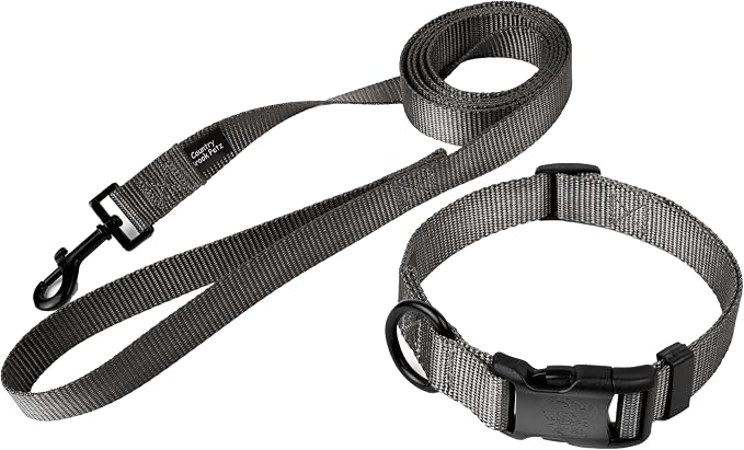Country Brook Petz - Everyday Nylon Dog Collar and Leash - 10+ Cool Colors (1 Inch, Extra Large, Charcoal)