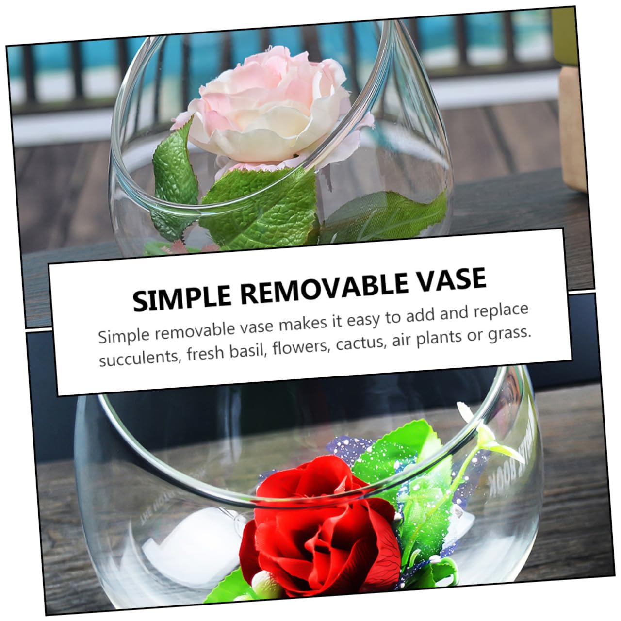 Yardwe Slant Cut Glass Bottle Terrarium 3pcs Set, Micro Landscape Glass Plant Container for Succulent Display and Ecological Desktop Decoration