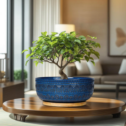 G EPGardening Bonsai Pots 8 Inch - Ceramic Succulent Pots, Round Planter for Indoor Plants, Modern Outdoor Planter with Drainage and Plant Saucer, Boho Home Decor, House Warming Gifts New Home, Blue