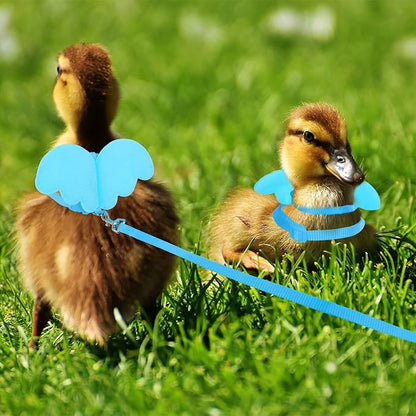 KAMA BRIDAL Duck Walking Harness and Leash Chicken Duck Outdoor Training Rope Adjustable Rope for Pet Poultry Hen Cock (M, Blue)