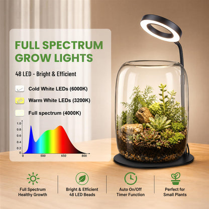 Yeeweek 5X Aperture Grow Light for Indoor Plants, Mini Desk Grow Light with Glass Terrarium for Small Plants, Succulents & Moss, Height Adjustable Plant Growing Lamp for Home Office Gift