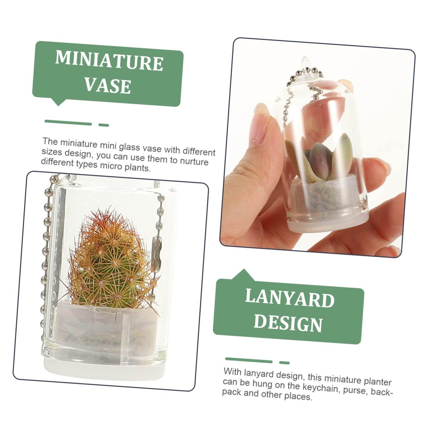 GALPADA 6pcs Key Chain Keychain Charm Keychain Accessories Decor Plants Plant Keychain Hanging Terrarium Large Home Keychain Vase Jar Clear Vase Car Miniature Hanging Planters Bulb Glass