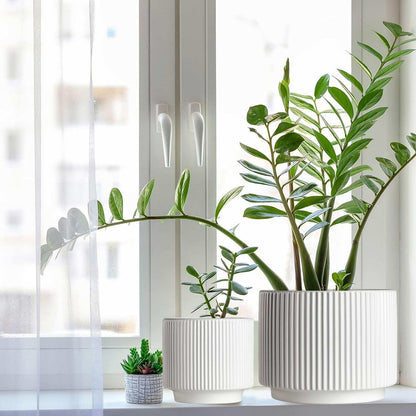 Houlu Set of 3 White Ceramic Plant Pots (7.8/6.5/5.1 inch) with Drainage, Small Flower Planter for Indoor and Outdoor Plants