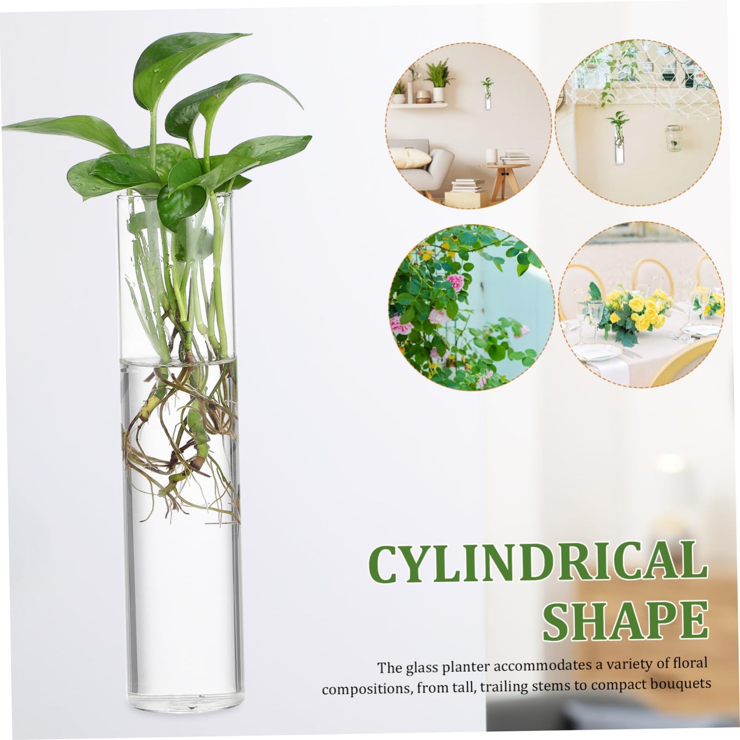 Ciieeo 2pcs Hanging Glass Planters Wall Vases Cylinder Shape for Indoor Plants Secure Mounting Terrariums Propagation Stations Home Office Decor
