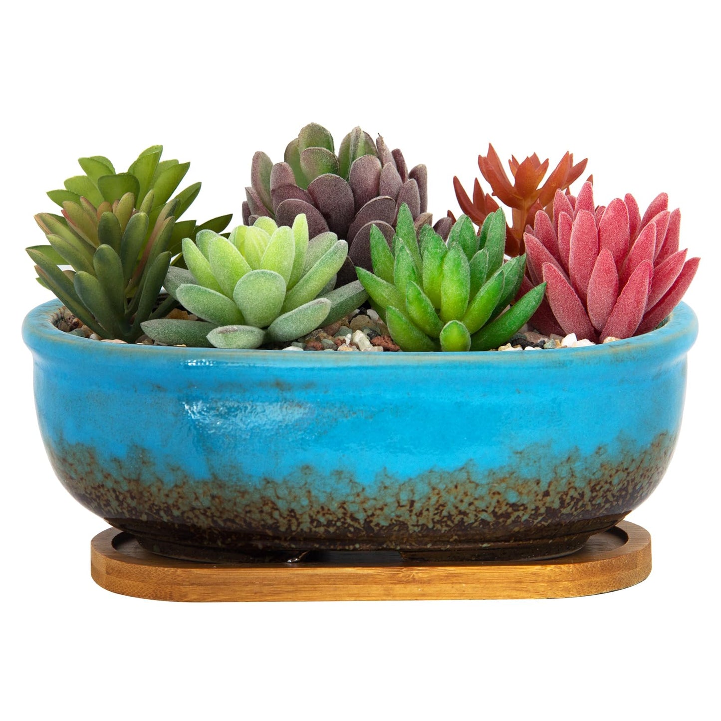 ARTKETTY Succulent Pots, 7.9'' Large Ceramic Pots for Indoor Cactus Plants, Shallow Succulent Planters with Drainage Tray, Oval Bonsai Plant Container Bowl Garden Home Windowsill Decor