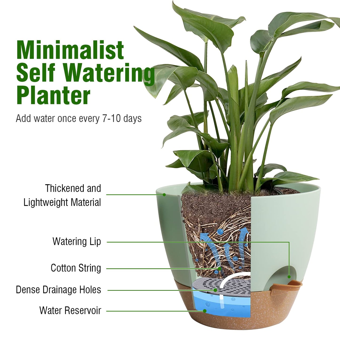 WSMKSZ 8 inch Self Watering Pots, 2 Pack Plastic Planters with Mesh Drainage Holes for Garden Plants and Flower, Plants Pots with Deep Reservoir for Indoor Outdoor Plants, Green with Brown
