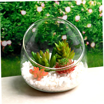 Yardwe Glass Terrarium Bottle 4.72In Thickened Succulent Decor with Slant Cut Design for Indoor Outdoor Home Ecological Ornament and Micro Landscape Display