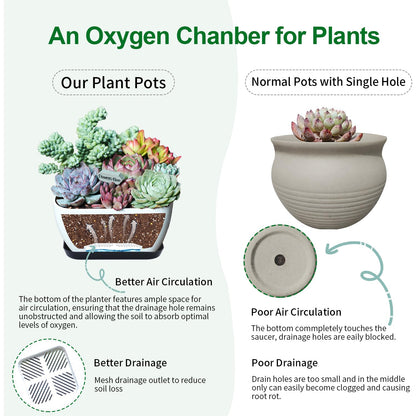 Succulent Pots 6 Inch Shallow Herb Planters with Drainage Hole - 8 Packs Cactus Planter for Home Office Garden Plants Pot Present - Plants Not Included (Off White)