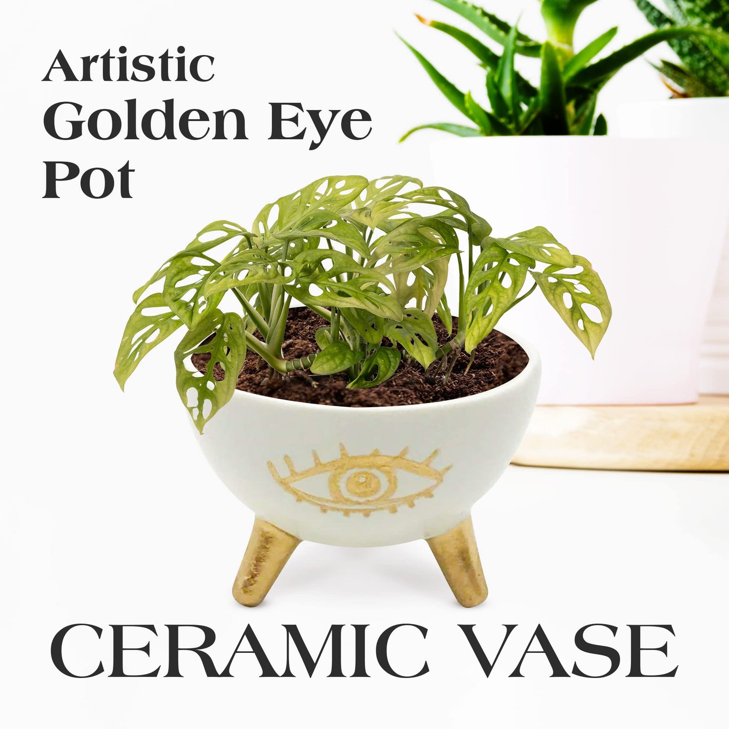 SLS SUPPLY FLORA - Gold Evil Eye Ring Bowl, Modern Table Top Planter and Ceramic Jewelry Dish, Small Decorative Bowl, Chic Table Key Holder for Coins and Other Trinkets