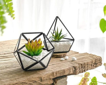 Mkono Artificial Succulent in 3 Pack Mini Glass Geometric Terrarium, Miniature Potted Faux Plant Bookshelf Desk Boho Office Room Decor for Women Girls Dorm Gift Idea, Black