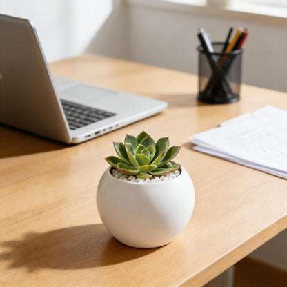 NEONWE White Spherical Ceramic Planter Succulent Small Plant Pots Indoor Modern Round Decorative Indoor-Outdoor Garden Plant Pots with Drainage Holes - Plants Not Included 3.94 x 3.94 x 3.15 Inch