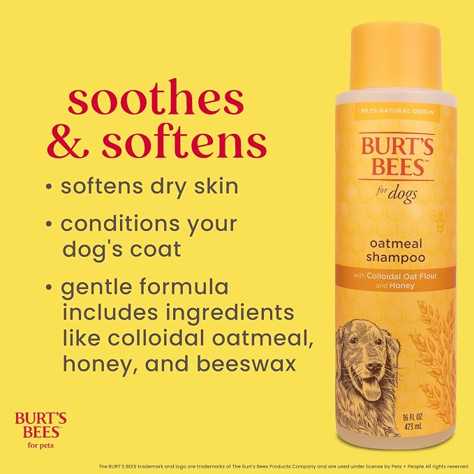 Burt's Bees for Pets Oatmeal Dog Shampoo with Honey, Soothing Formula for Itchy and Sensitive Dog Skin, Colloidal Oat Flour and Honey, pH Balanced, Sulfate-Free, 16 Fl Oz - 2 Pack