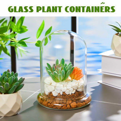 Perthlin 2 Pcs 4.7 x 6.3 Inch Glass Terrarium Clear Terrarium Planter Container Glass Dome Cloche with Airhole and Base for Plant Flower Home Tabletop Display Centerpiece, Plants Not Included
