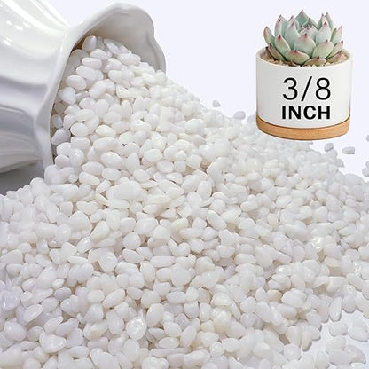 NUPICK 3 lbs Pebbles for Indoor Plants, 3/8 Inch Pea Gravel for Fish Tank, Polished Decorative Rocks for Succulent, Natural River Stones for Vases, Cactus, Landscaping, Bird Bath, Aquarium, White