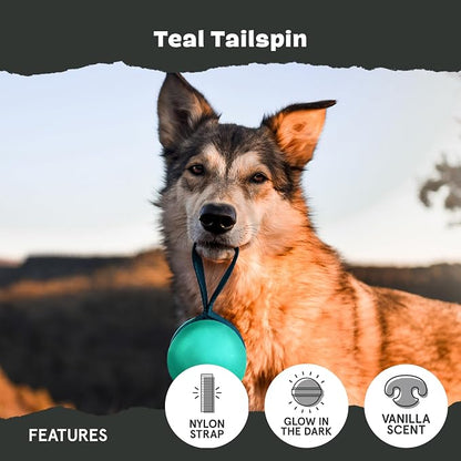 Barkbox Super Chewer Rope Dog Toy for Aggressive Chewers with Reinforced Strap (Tailspin - Large)