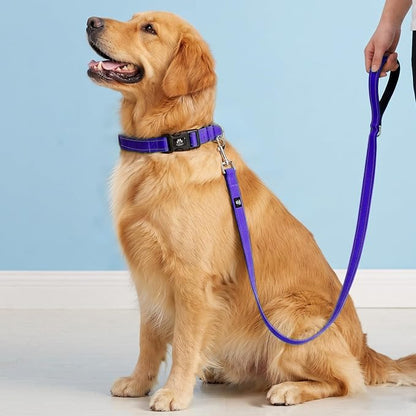 FURRYFECTION Reflective Dog Collar and Leash Set with Quick Release Buckle, Padded with Neoprene Adjustable Nylon Dog Collar for Small Medium and Large Dogs (Large Collar+5FT Leash, Purple)