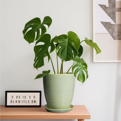 EPFamily Ceramic Pots for Plants - Modern Round 8 Inch Planter with Drainage Hole and Plant Saucer for Flower Indoor Outdoor, Home Decor, House Warming Gifts, Green