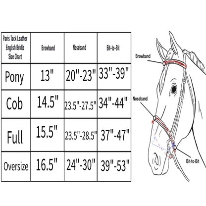 Paris Tack Everyday Raised Fancy Stitched Leather English Schooling Bridle with Laced Reins