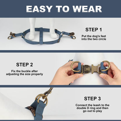 Didog Step in Dog Harness - PU Leather Dog Harness with Antique Bronze Metal Buckle, Easy Walk Dog Halter Harness for Medium Dogs Walking Training (Blue, S: Chest 16-22")