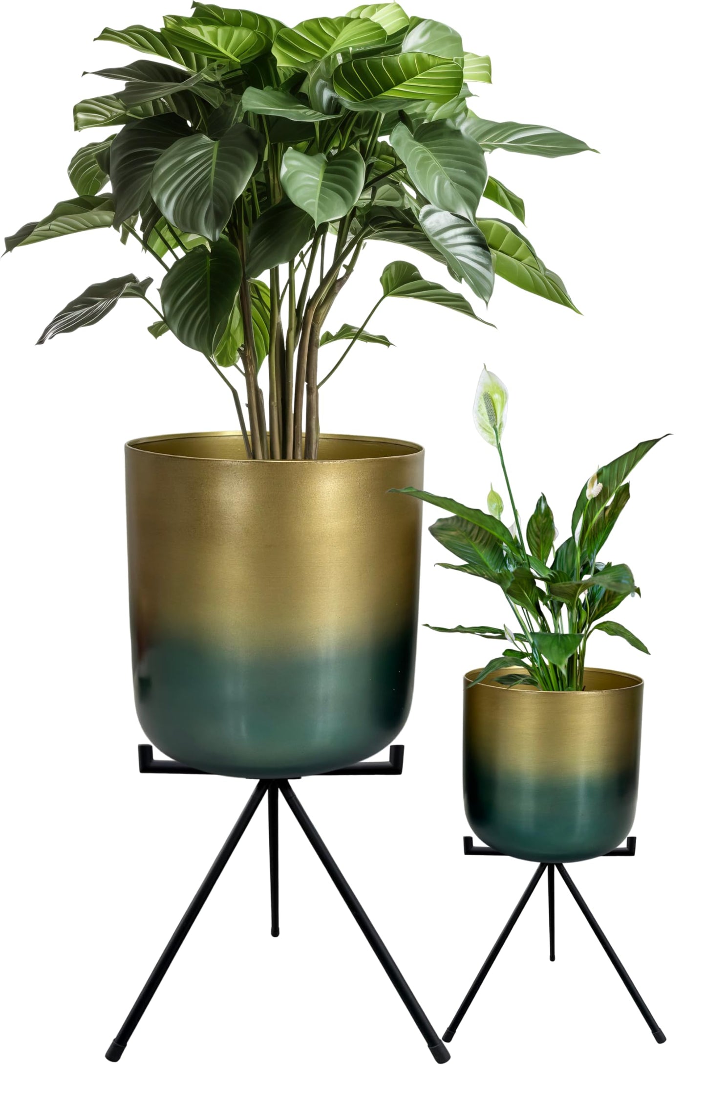 Set of 2 Luxury Brass Planters with Patina Finish – 10” & 8” Round Metal Indoor Plant Pots – Modern Decorative Flowerpots for Living Dining Room, Office, Balcony & Entryway – Stylish Home Décor Accent